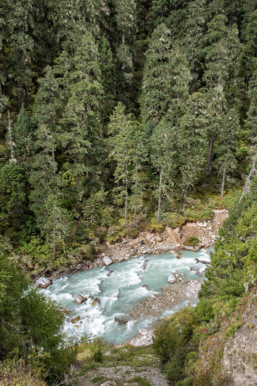 Rivière et forêt entre Laya et Rodophu, Bhoutan