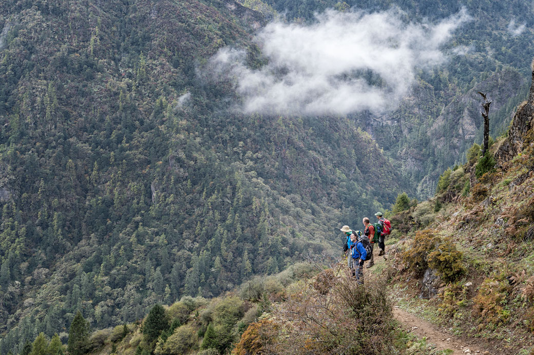 Remonter la vallée entre Laya et Rodophu, Bhoutan