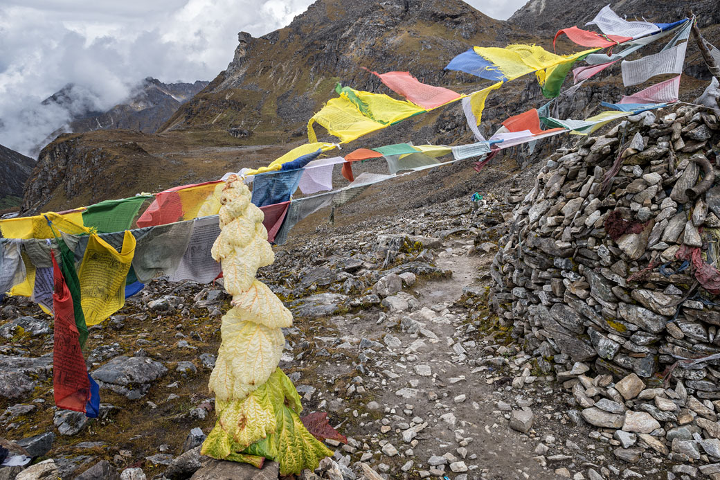 Drapeaux de prières et rhubarbe noble au col de Tsemo La