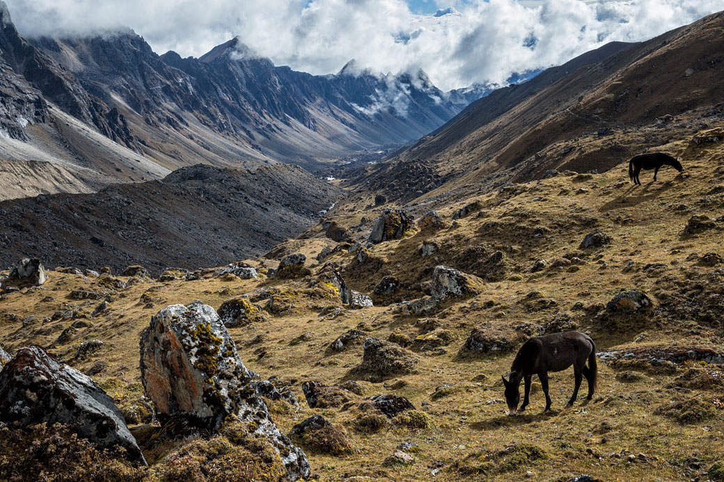 Haute vallée depuis le camp de Narethang, Bhoutan