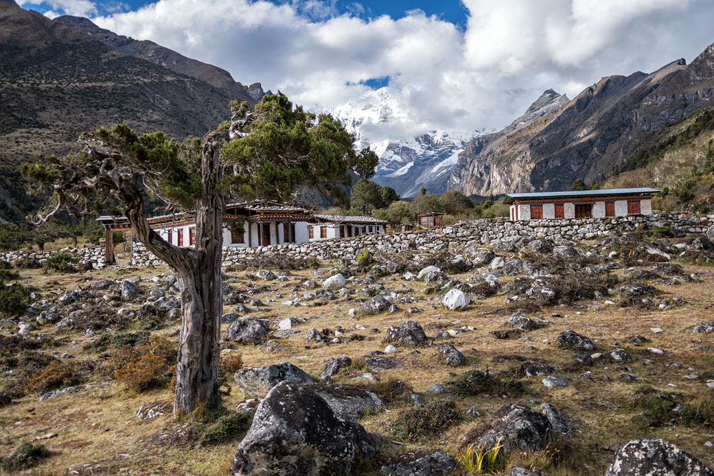 Maisons isolées entre Lhedi et Chozo, Bhoutan