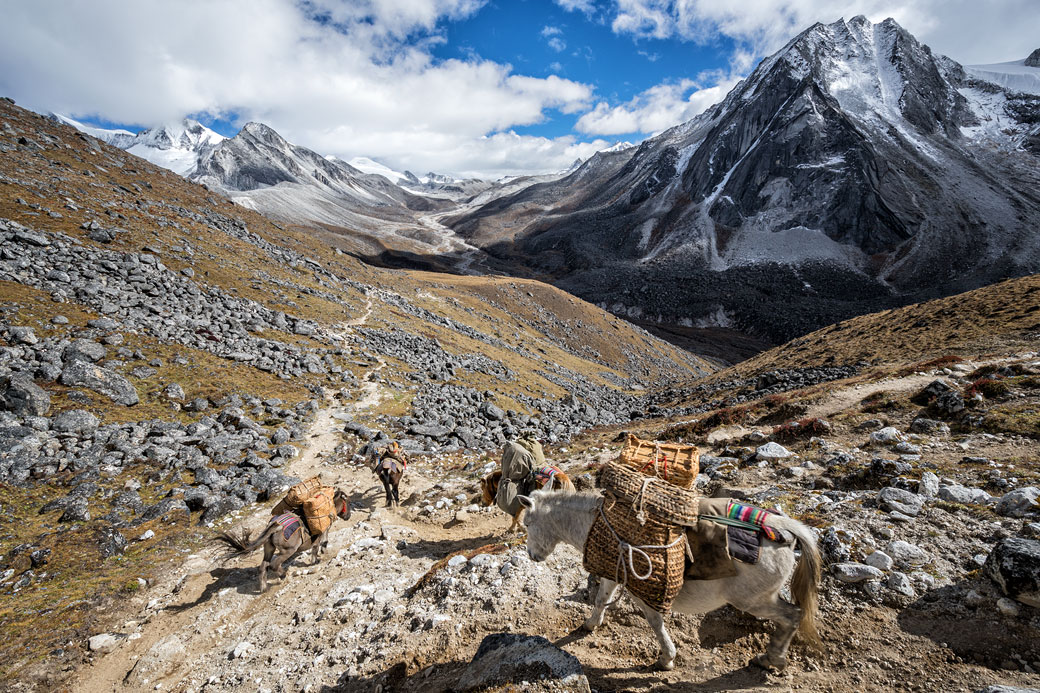 Haute vallée en route pour Jichu Dramo, Bhoutan