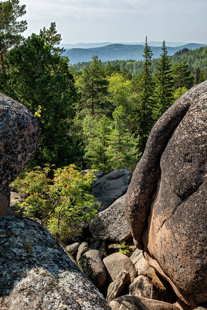 Taïga depuis le quatrième pilier de Stolby, Russie