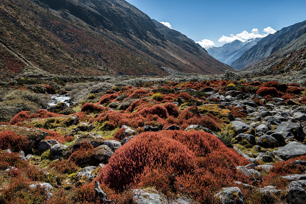 Superbe vallée colorée et isolée, Bhoutan