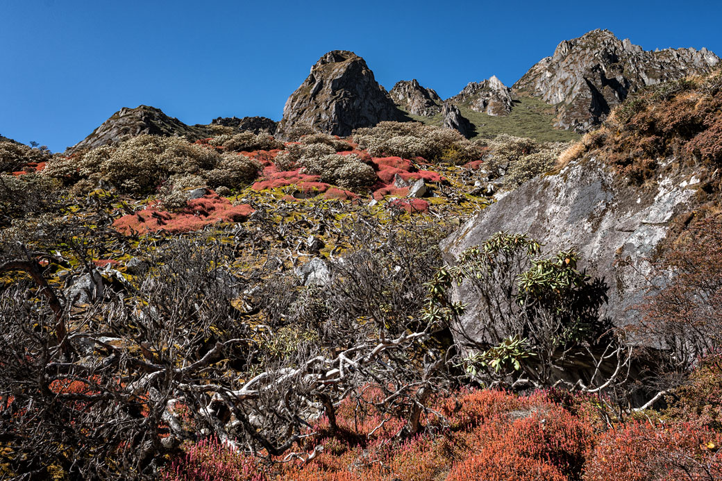 Montagnes et végétation colorée dans la vallée de Thampe Chhu