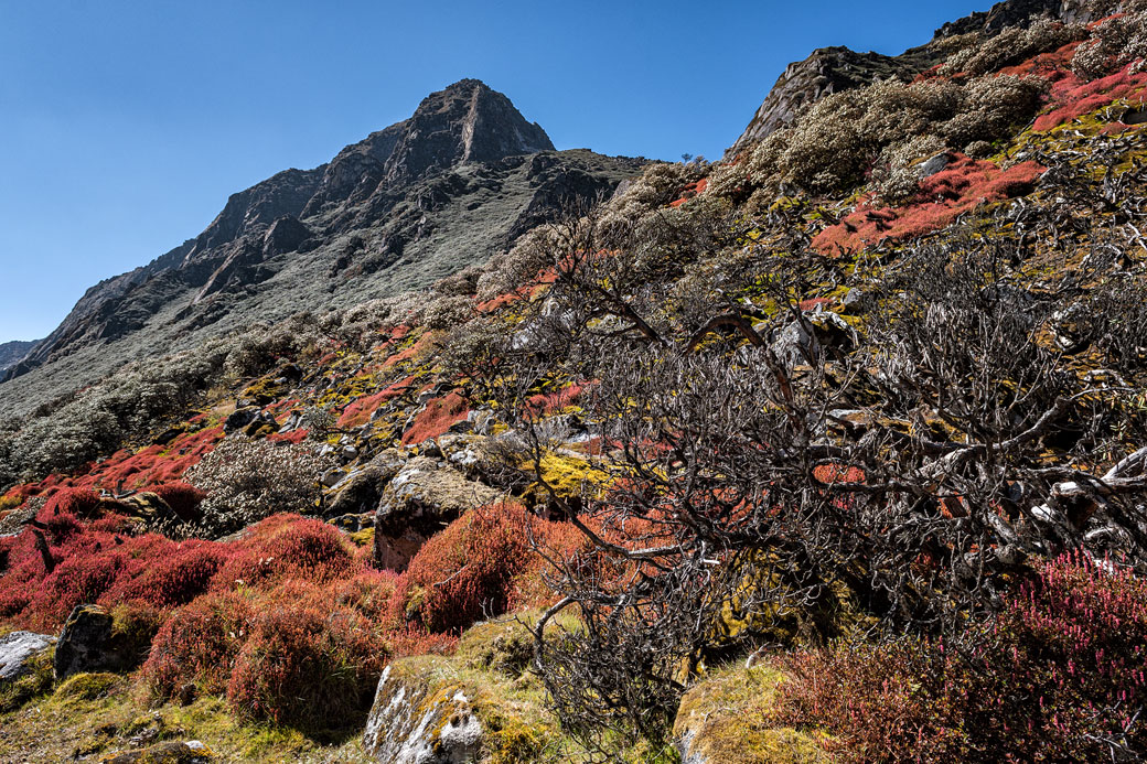 Montagnes et couleurs dans la vallée de Thampe Chhu, Bhoutan