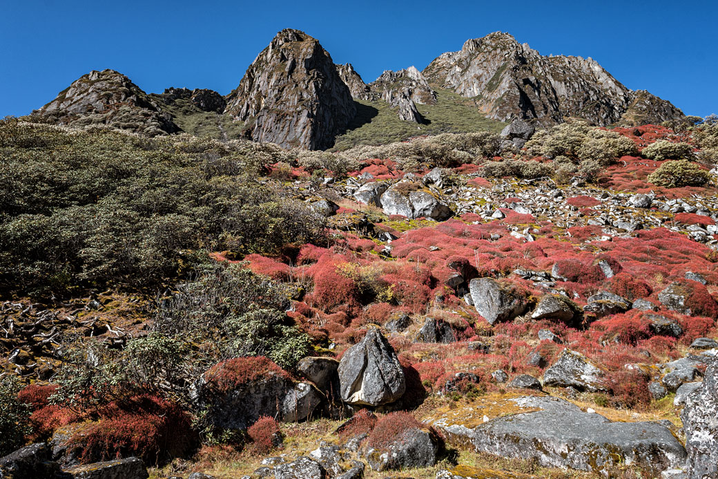 Les couleurs de la vallée de Thampe Chhu, Bhoutan