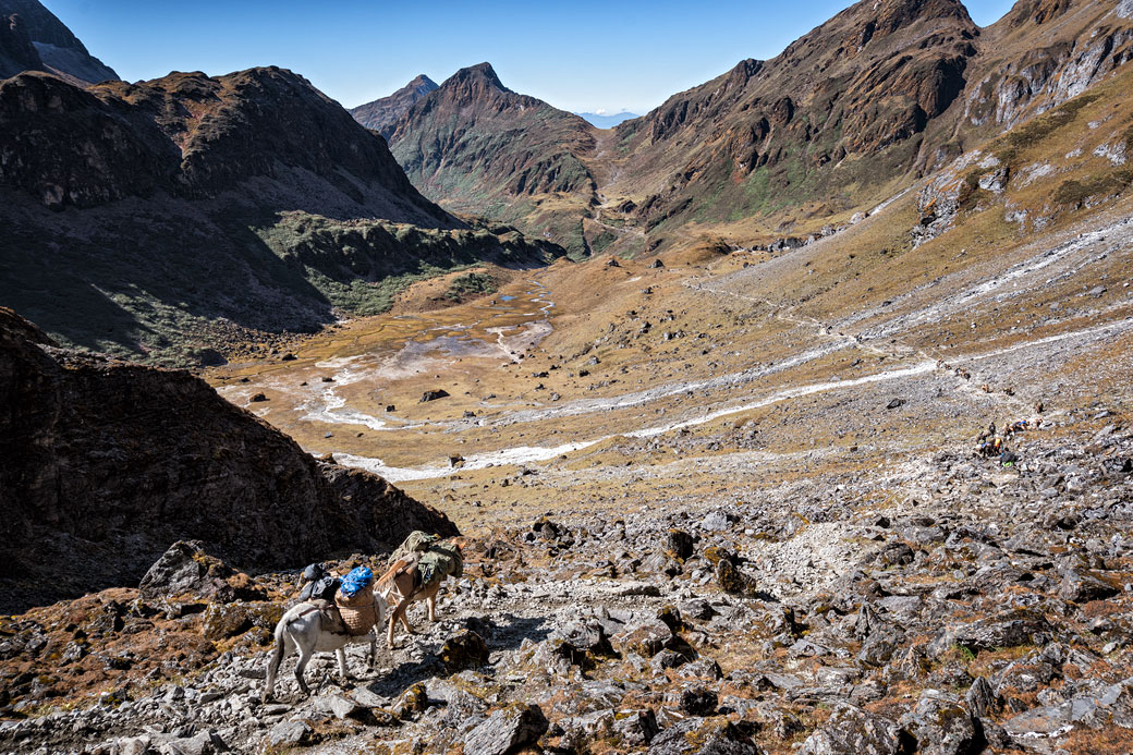 Descente en direction de Maurothang, Bhoutan