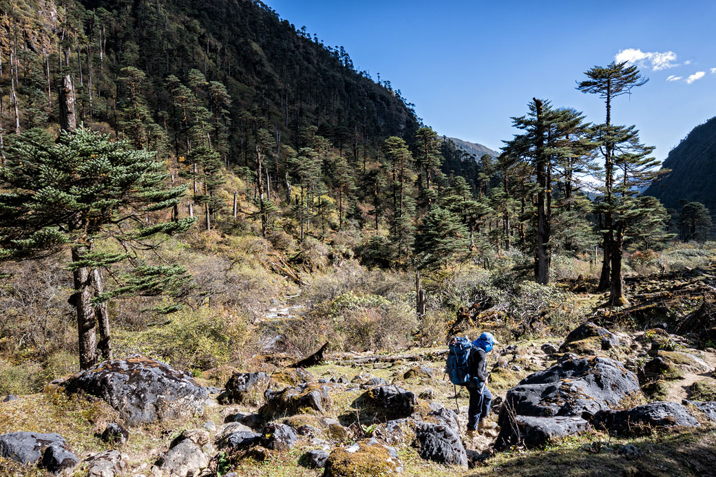 Trekkeur proche du camp de Maurothang, Bhoutan