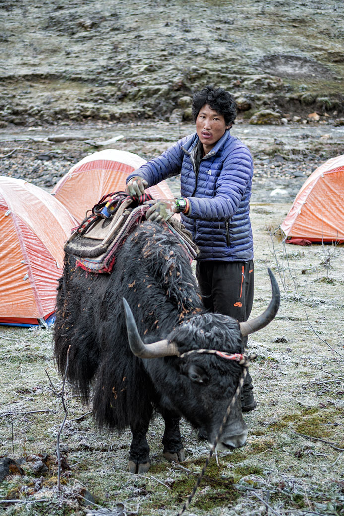 Gardien de yak au bivouac de Maurothang, Bhoutan