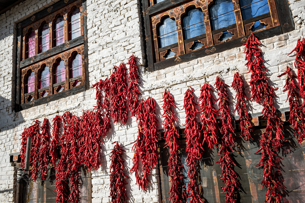 Piments rouges qui sèchent au soleil à Paro, Bhoutan