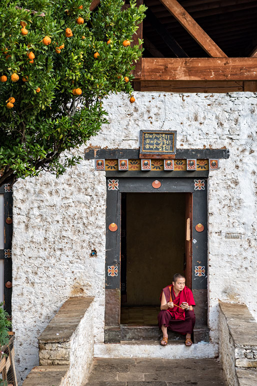 Moine assis devant un bâtiment annexe au dzong de Paro, Bhoutan