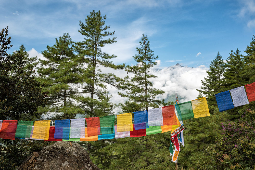 Drapeaux de prières et forêt lors de la montée à Taktshang, Bhoutan