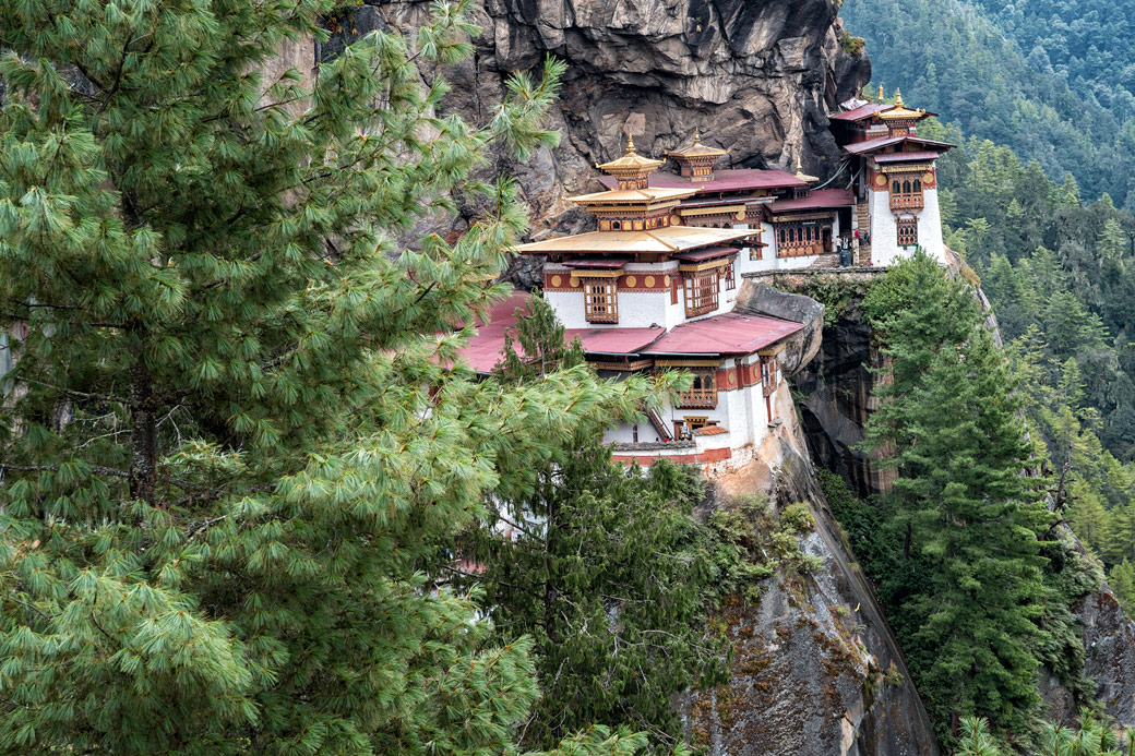 Falaise et forêt au monastère de Taktshang, Bhoutan