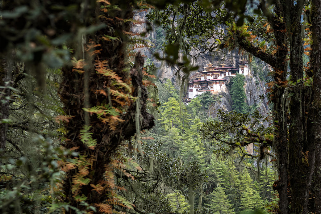 Monastère de Taktshang à travers la forêt, Bhoutan