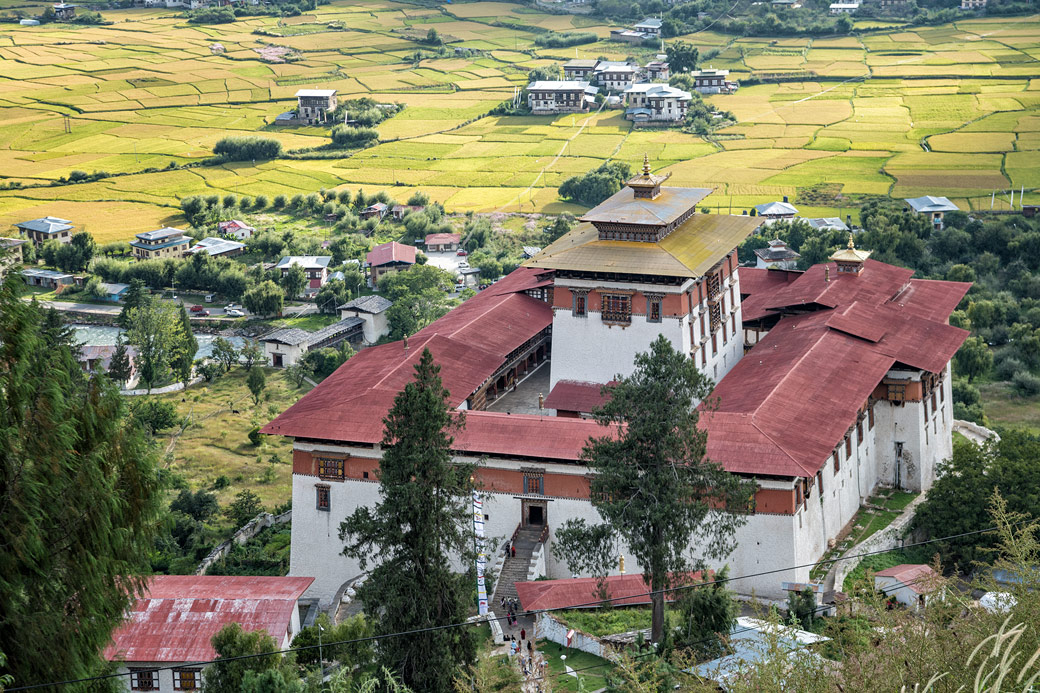 Dzong de Paro au-dessus des rizières, Bhoutan