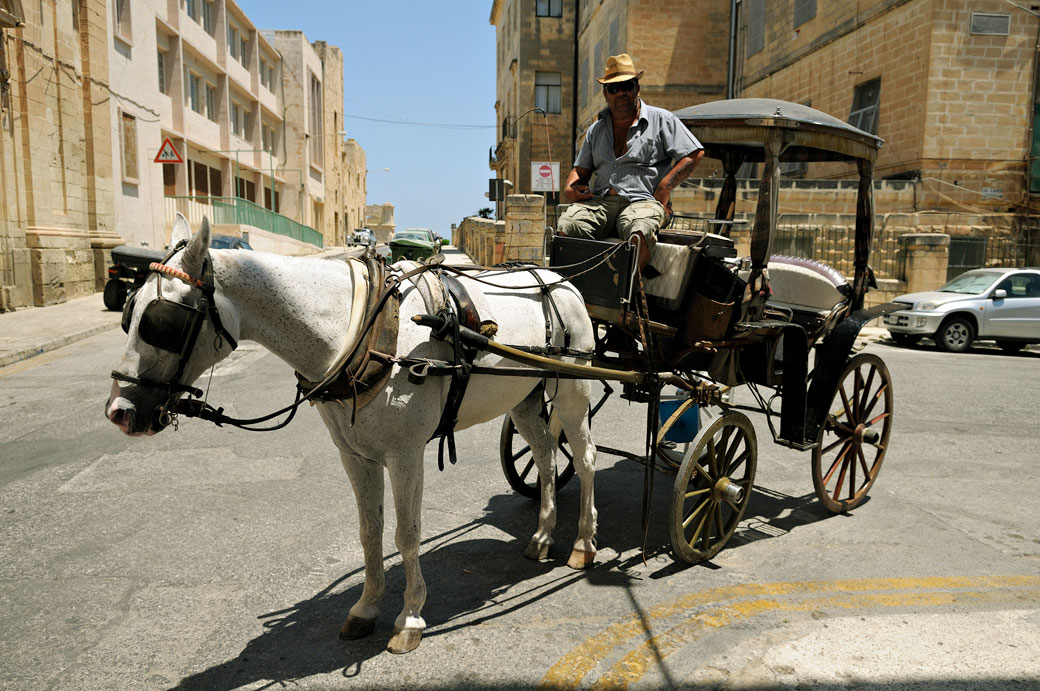 Charrette à cheval dans les rues de La Valette