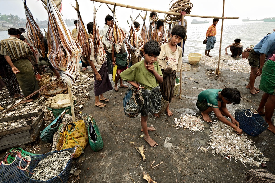Enfants au marché aux poissons de Sittwe, Birmanie