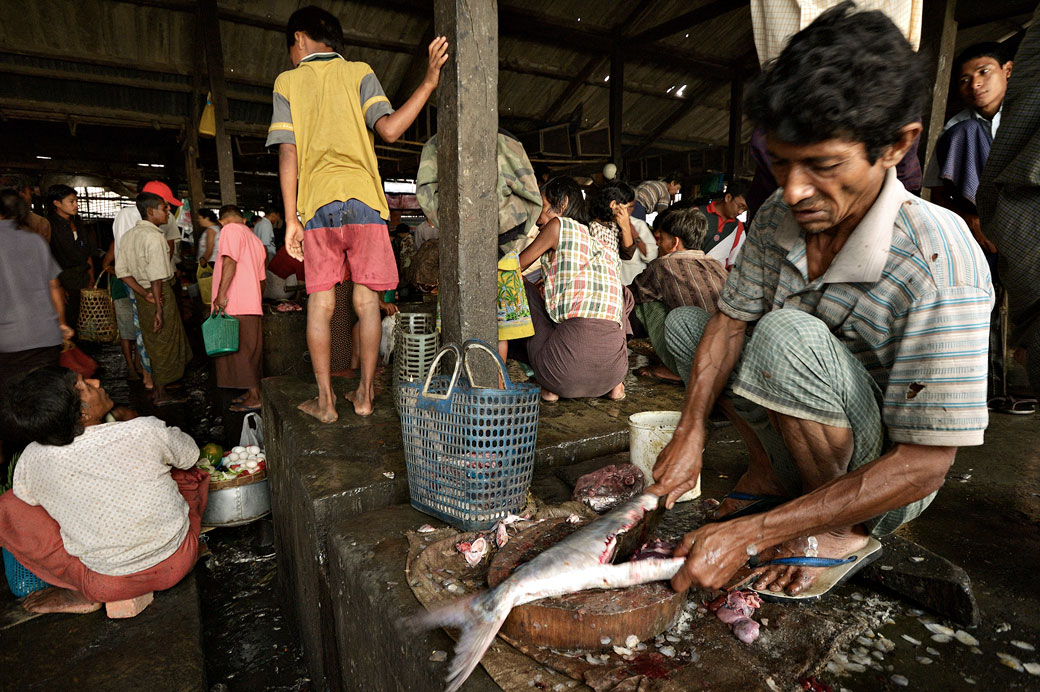 Découpe d'un poisson au marché de Sittwe, Birmanie