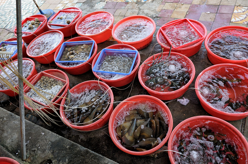 Bacs de fruits de mer dans un restaurant de Da Nang, Vietnam