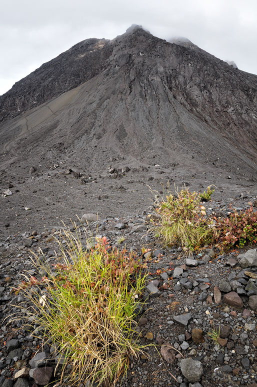 Sommet du Gunung Merapi sur l'île de Java, Indonésie