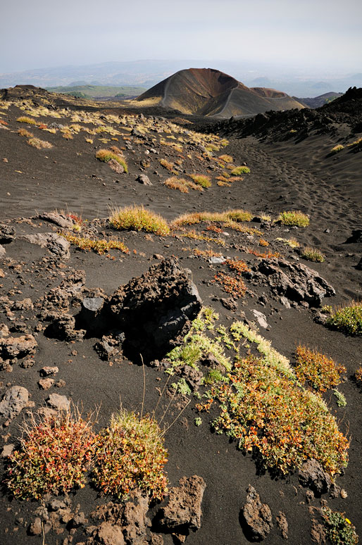 Végétation et ancien cratère sur le Mont Etna en Sicile