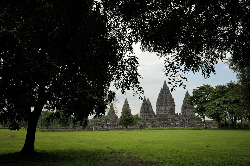 Arbres près de l'Ensemble de Prambanan, Indonésie