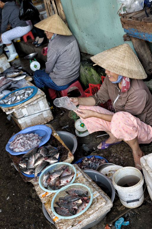 Vendeuses de poissons au marché de Hoi An, Vietnam