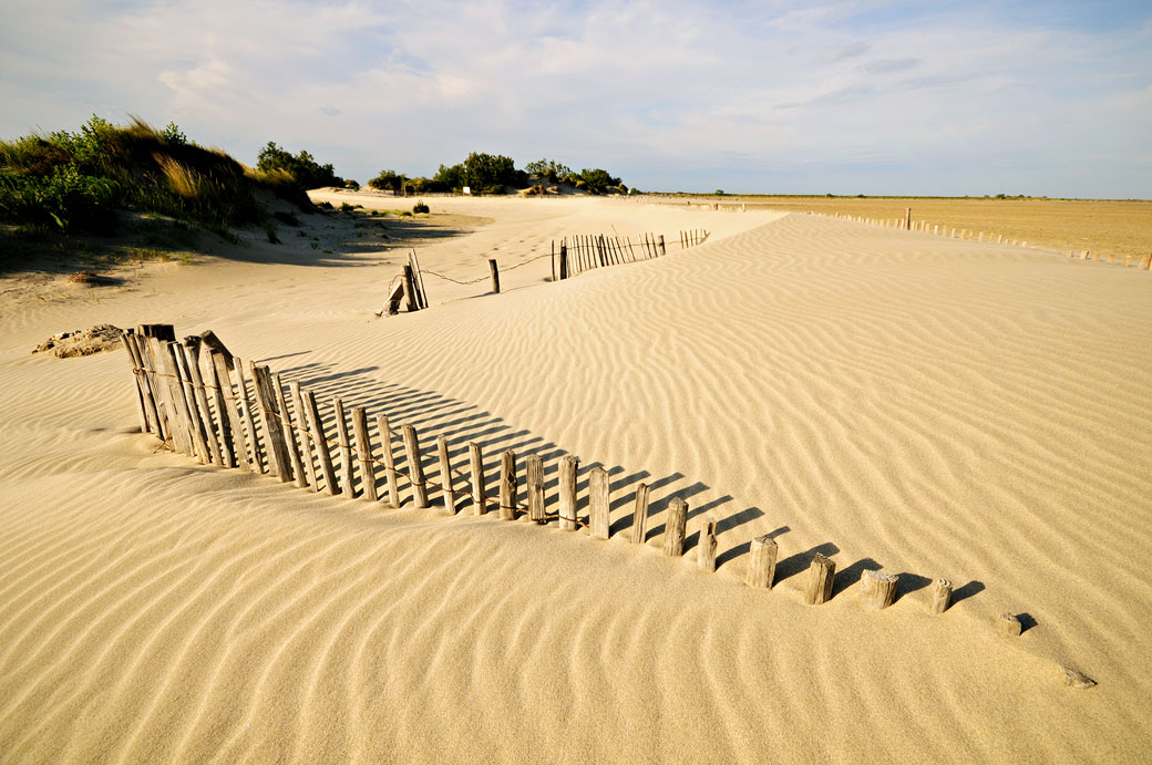 Ganivelles sur une plage de Camargue, France