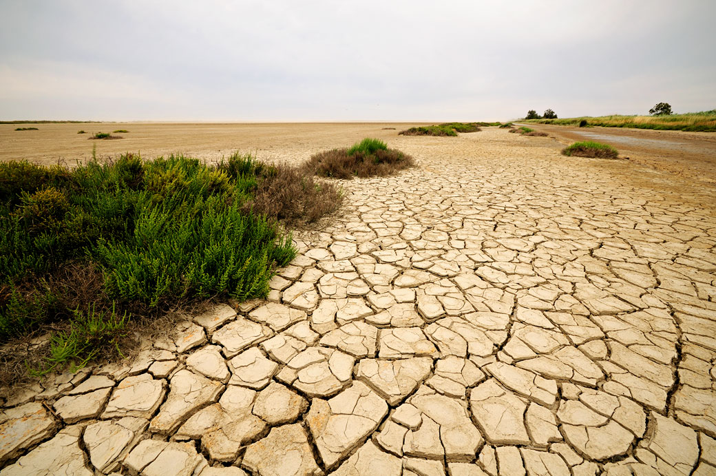 Terre craquelée et desséchée en Camargue, France