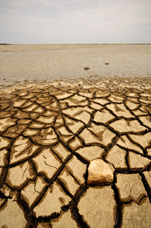 Terre desséchée au bord d'un étang de Camargue, France