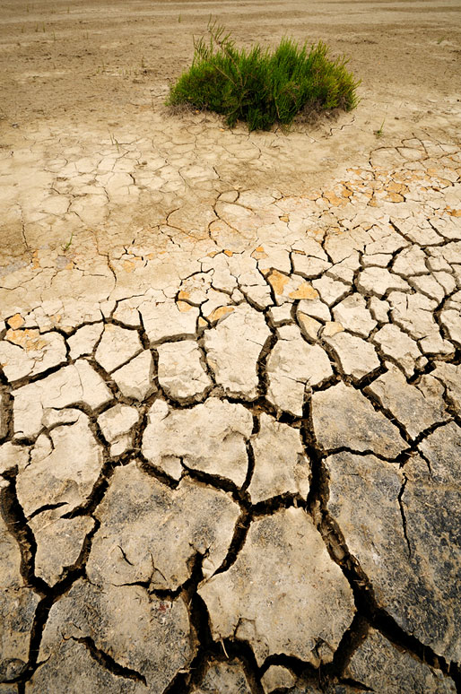 Craquelures dans une terre de Camargue, France