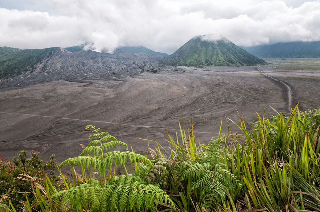 Vue des volcans Bromo et Batok depuis Cemoro Lawang, Indonésie