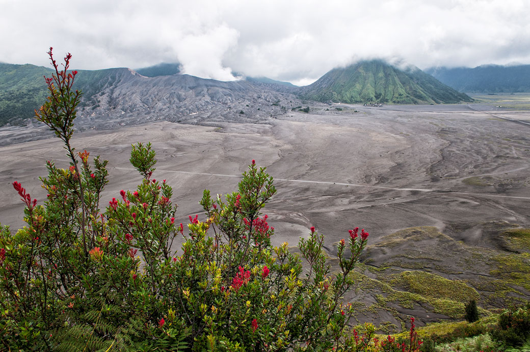 Volcans Bromo et Batok depuis Cemoro Lawang, Indonésie