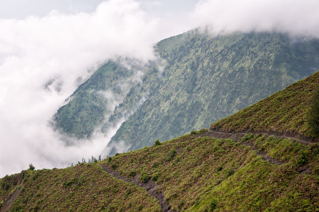 Brume et montagnes près de Cemoro Lawang, Indonésie