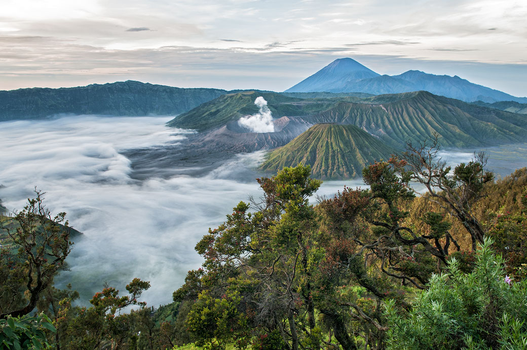 Parc national de Bromo-Tengger-Semeru au petit matin, Indonésie