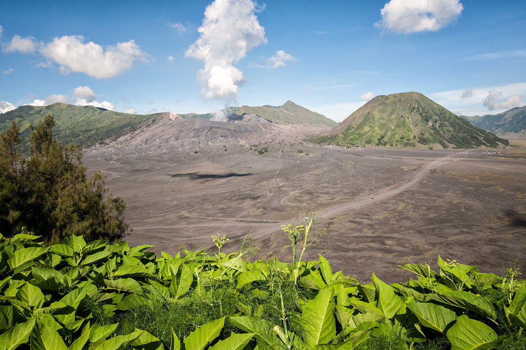 Volcans Bromo et Batok dans la caldeira de Tengger, Indonésie