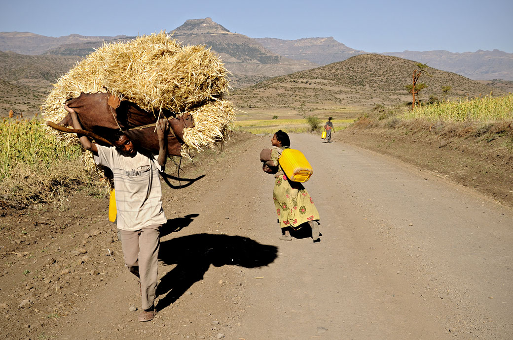 Homme avec une lourde charge sur la route de Lalibela, Ethiopie