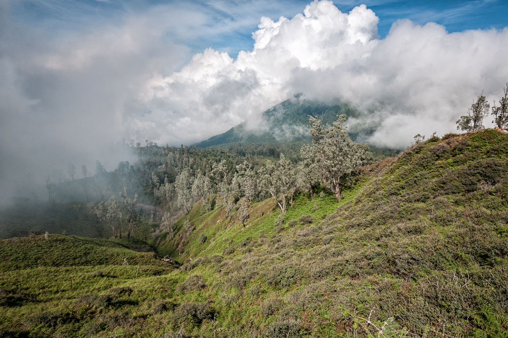 Contrefort du volcan Kawah Ijen, Indonésie