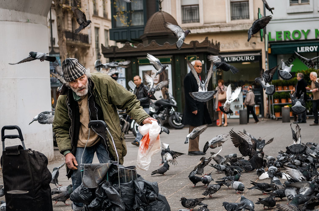 Giuseppe Belvedere l'ami des pigeons à Paris, France