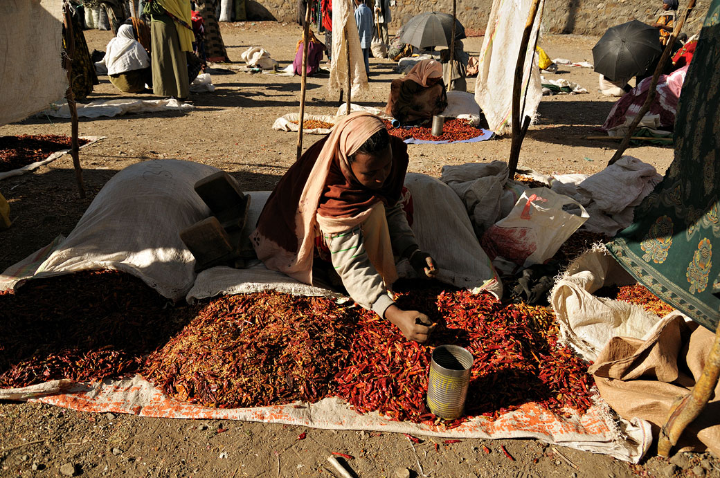 Femme qui vend des piments rouges au marché de Bati, Ethiopie
