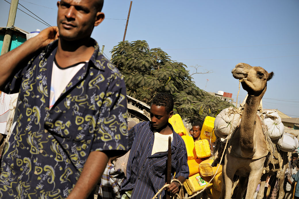 Dromadaire et passants au marché de Bati, Ethiopie