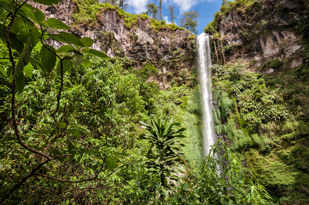 Chute de Coban Rondo dans la jungle de Java, Indonésie