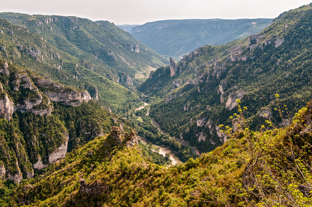 Les gorges du Tarn depuis le Point Sublime, France