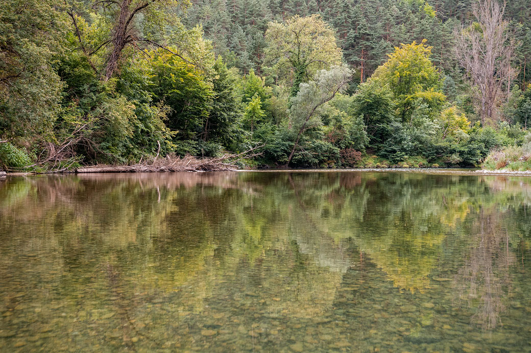 La nature en action dans les gorges du Tarn, France