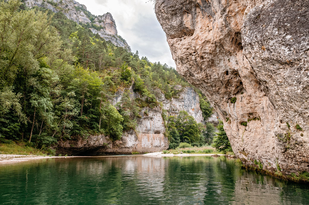 Falaises et forêt dans les gorges du Tarn, France