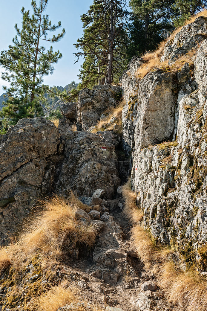 Rochers entre Bocca u Saltu et Ortu di u Piobbu sur le GR20