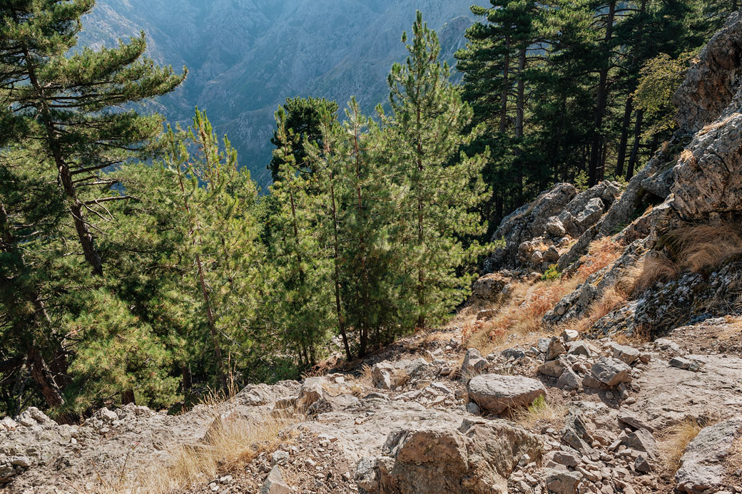 Passage forestier et rocailleux lors de la 1e étape du GR20, Corse