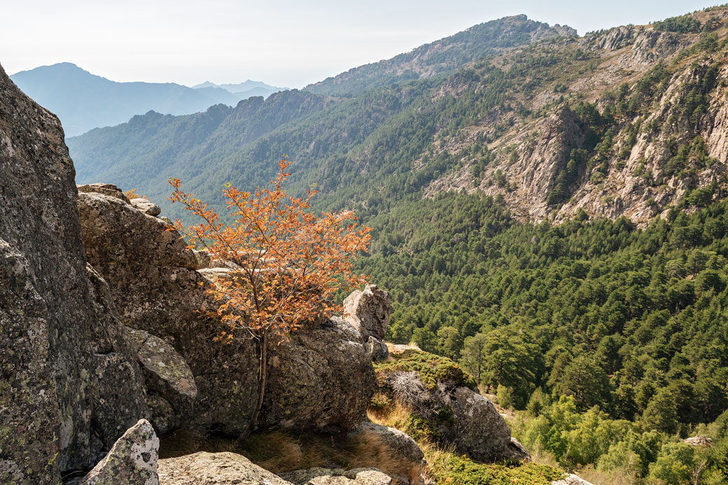 Vallée déserte depuis le refuge de Ortu di u Piobbu, Corse