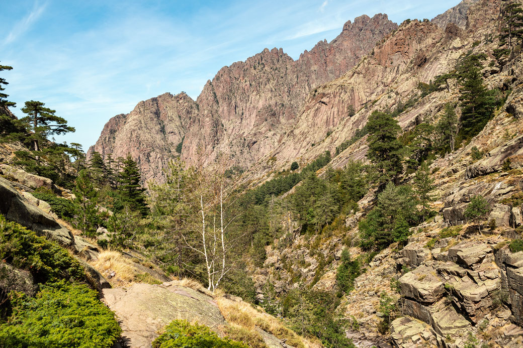 Vallée entre Carrozzu et le lac de Muvrella sur le GR20